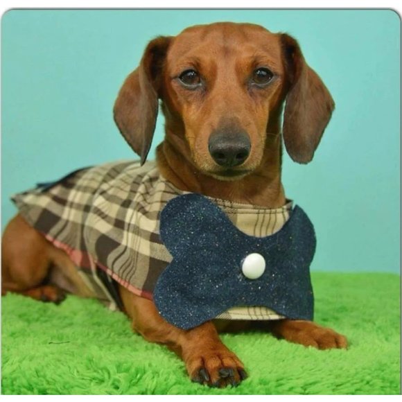 Dog Pet Dress Hoodie Costume, Dog Birthday Tutu Dog Princess Costume Pet Clothes - Picture 6 of 12